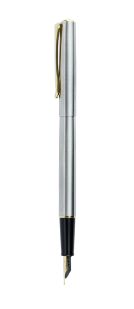 Diplomat Traveller Fountain Pen, Stainless Steel w/Gold, Fine Point, DD10057453