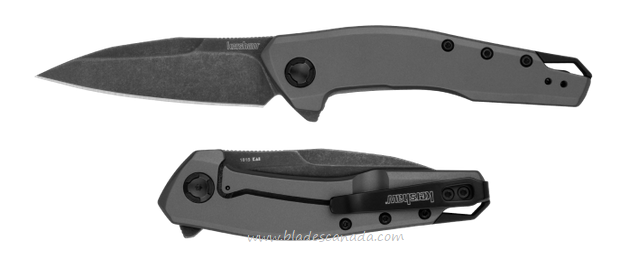 Kershaw Sanctum Flipper Framelock Knife, Assisted Opening, Stainless Gray PVD, 1815