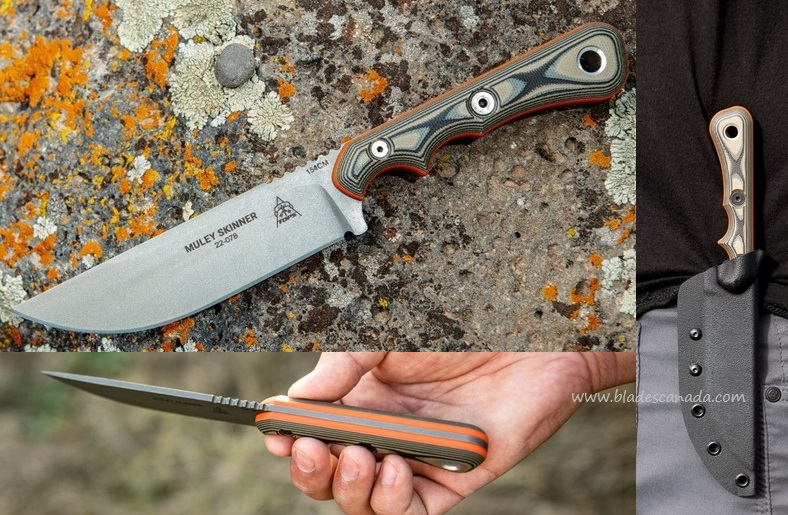 TOPS Muley Skinner Fixed Blade Knife, 154CM Steel, G10, Kydex Sheath, MSKIN-01