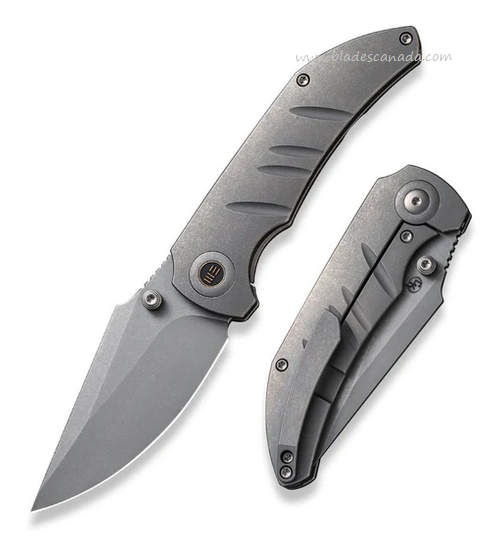 WE Knife Riff-Raff Framelock Folding Knife, CPM 20CV SW, Titanium Gray, WE22020B-3
