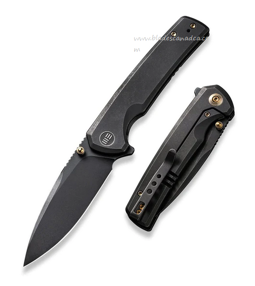WE Knife Subjugator Flipper Framelock Knife, CPM 20CV, Titanium Black, 21014C-5