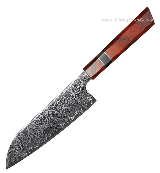 Xin Cutlery Japanese Style Santoku Chef's Knife, VG10/Damascus, Buffalo, XC122