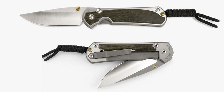 Chris Reeve Small Sebenza 31 Framelock Folding Knife, CPM S45VN, Bog Oak