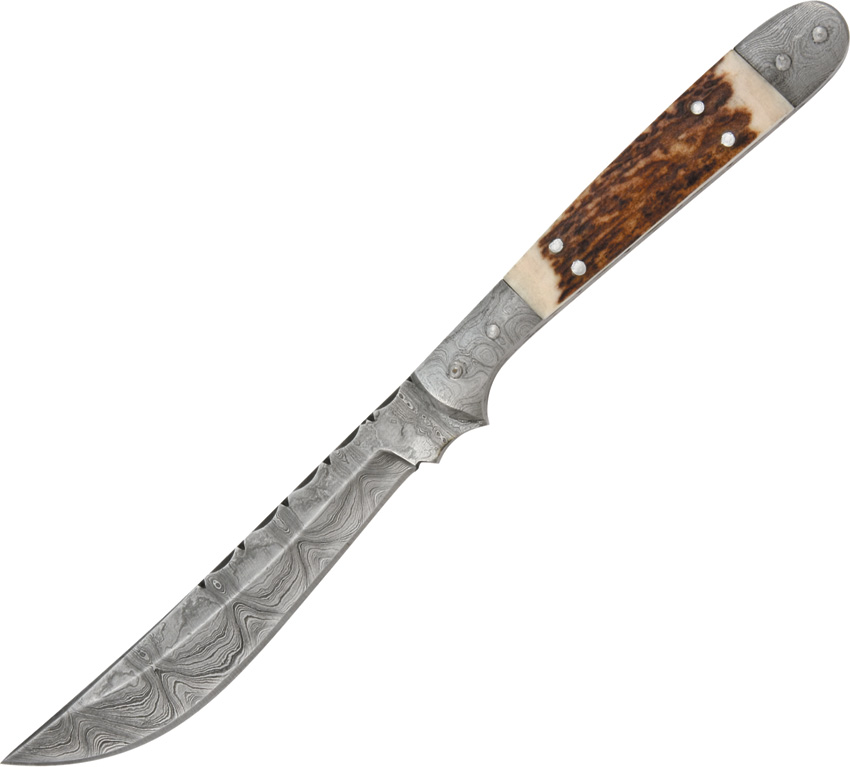 Damascus 1024 Navaja Hunter Fixed Blade Knife, Stag Handle, Leather Sheath