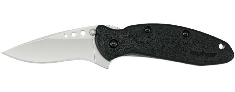 Kershaw Scallion Flipper Folding Knife, Assisted Opening, 420HC, GFN Black, K1620