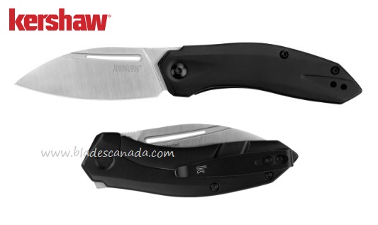 Kershaw Turismo Flipper Framelock Knife, Assisted Opening, D2, Stainless Black Handle, K5505